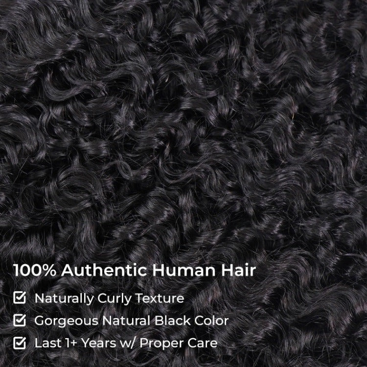 Raw Burmese Curly Wig Transparent HD Lace Frontal Wigs Burmese Curly Human Hair Wig