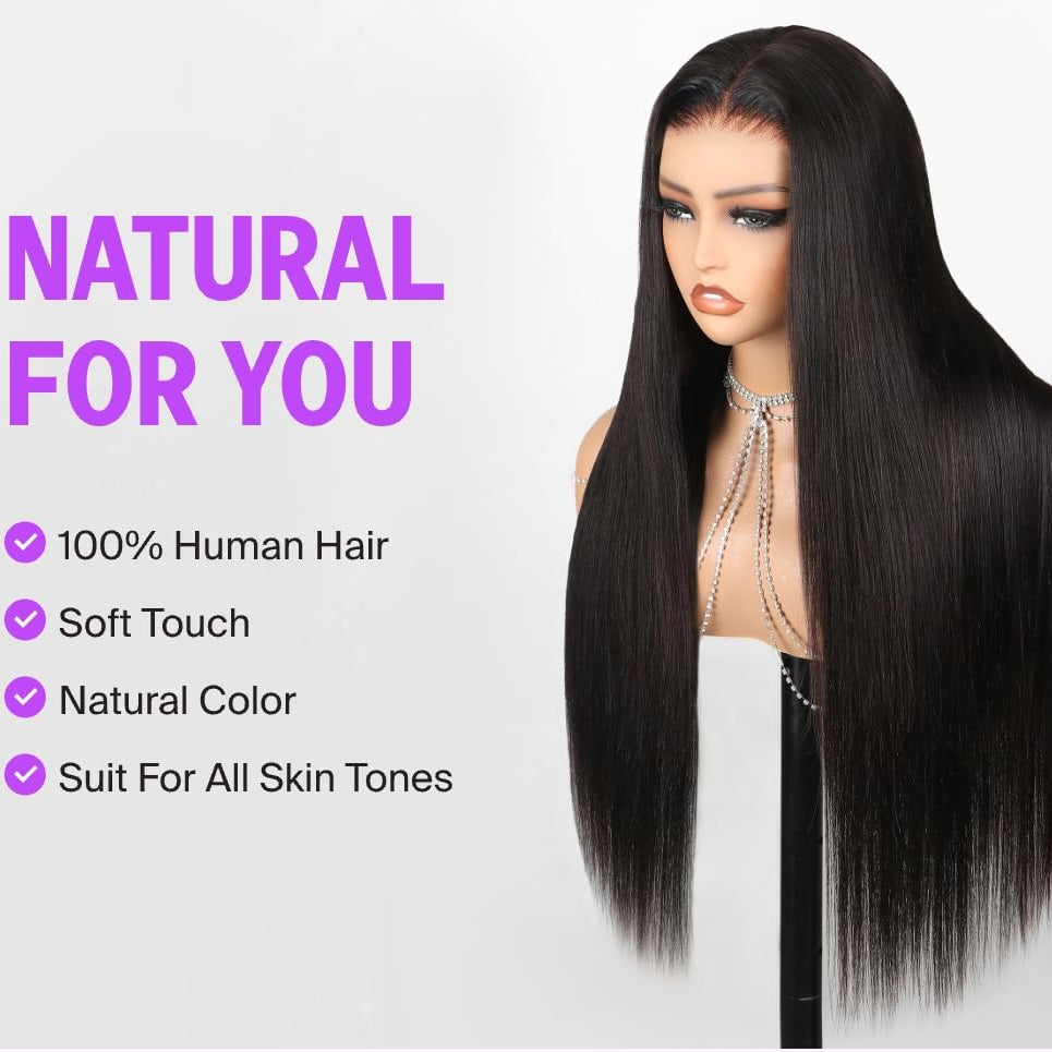 4x4 Lace Closure Wig Human Hair Straight Wig Pre Plucked