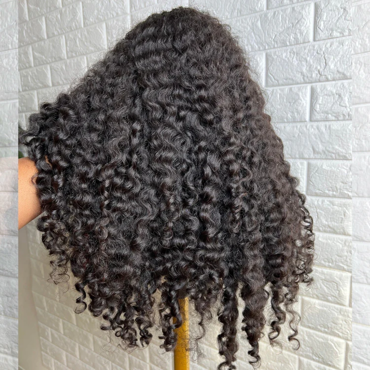 Raw Burmese Curly Wig Transparent HD Lace Frontal Wigs Burmese Curly Human Hair Wig