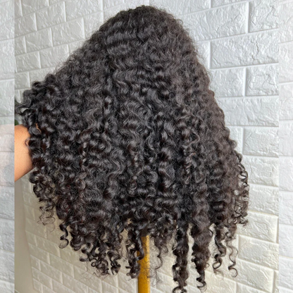 Raw Burmese Curly Wig Transparent HD Lace Frontal Wigs Burmese Curly Human Hair Wig