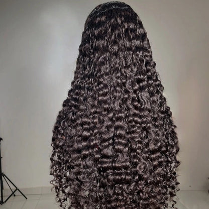 Raw Burmese Curly Wig Transparent HD Lace Frontal Wigs Burmese Curly Human Hair Wig